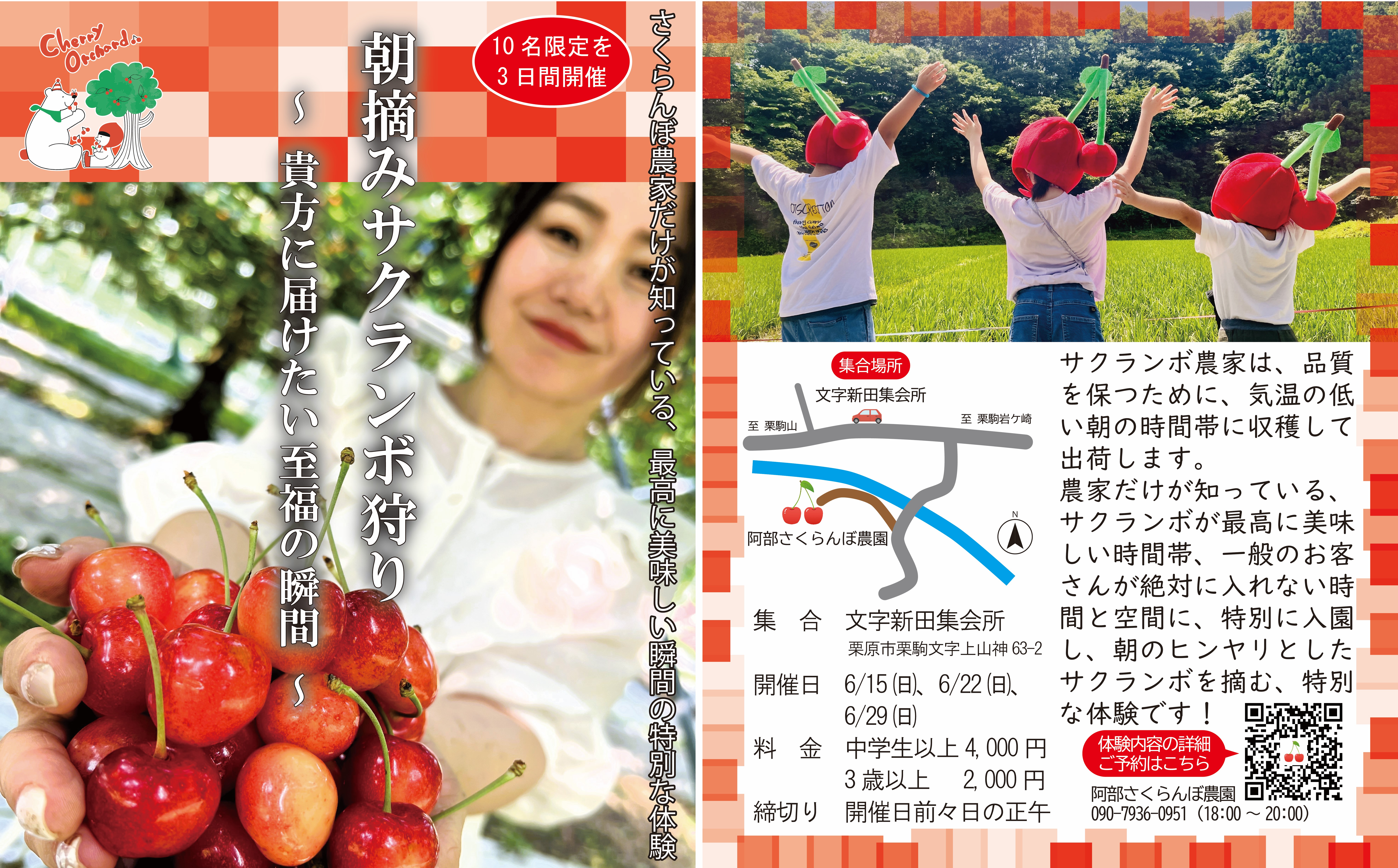 特別な体験】朝摘みサクランボ狩り～貴方に届けたい至福の瞬間